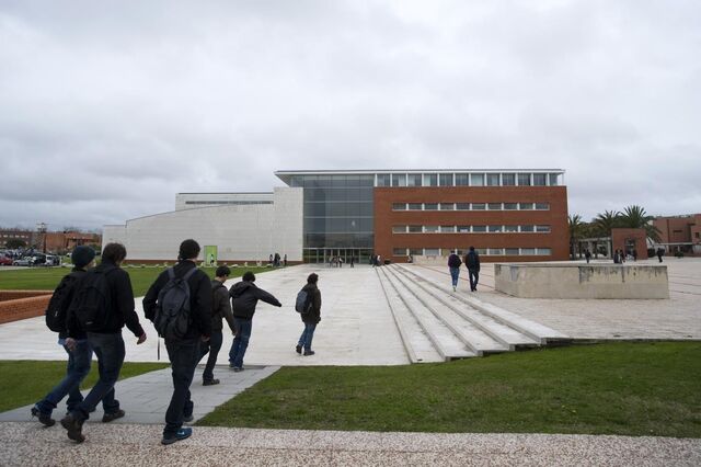 Físico do Porto e engenheiro de Torres Novas disputam Universidade de Aveiro