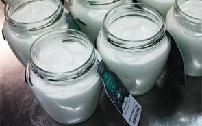 Metade dos iogurtes sem isenção de IVA: “É preciso colocar ‘fermentado’ na alínea do leite”