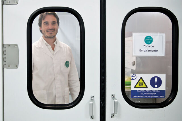 Start-up: Iogurtes 'cozinhados' entre o 'antigamente' e a faculdade 