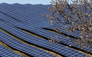 fotovoltaica solar colle mees