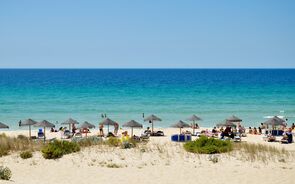 Comporta