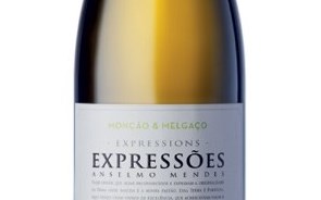 Os vinhos do professor Anselmo