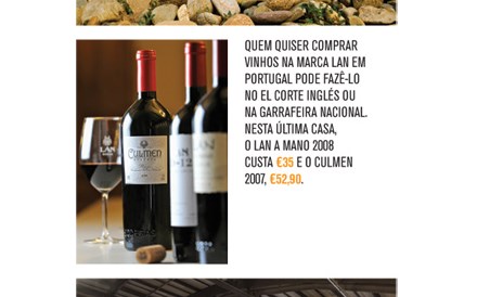 Vinhos: Na Rioja não é tudo igual