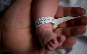 'Teste do Pezinho' revela maior quebra de nascimentos em Portugal