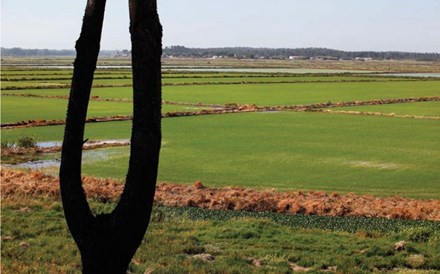 Gesfimo convoca assembleia para decidir venda da Comporta