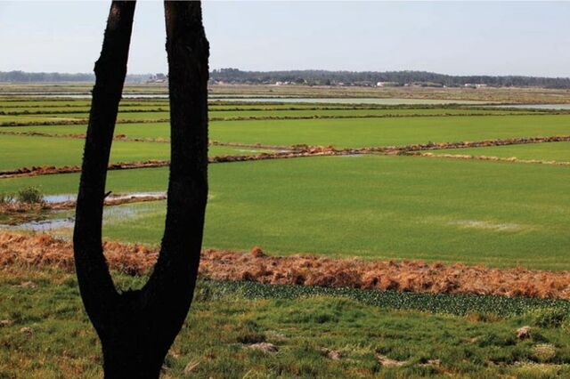 Gesfimo convoca assembleia para decidir venda da Comporta