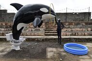 Dismaland