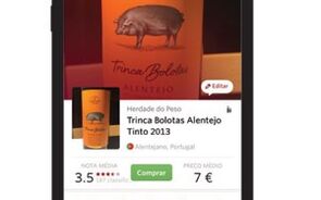 20150811_Vivino_CPE.mp4