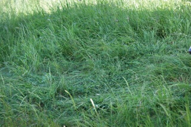 Cinema: Casulo dos Deuses