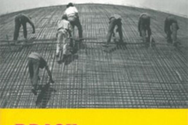 Livros: O espelho da história do Brasil