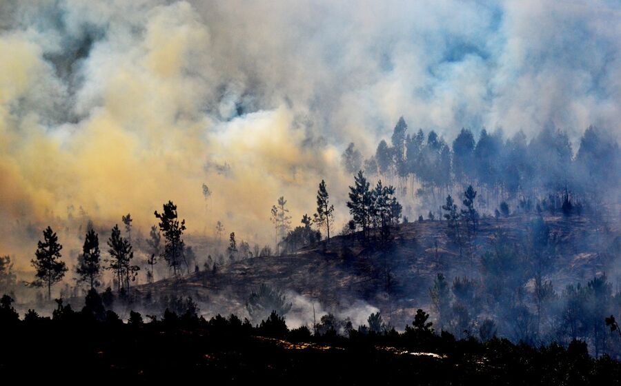incendios fogo floresta ardida