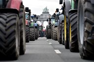 Manifestação agricultores bruxelas