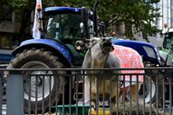 Manifestação agricultores bruxelas