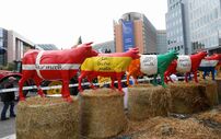 Manifestação agricultores bruxelas