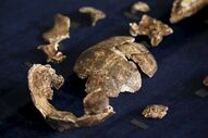 Homo naledi