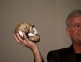 Homo naledi