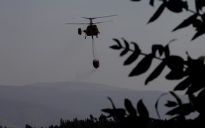 Helicóptero  de combate aos incêndios abre guerra judicial na Madeira