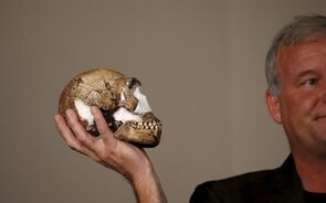 Homo naledi