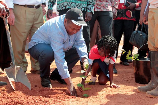 Portucel reforça investimento em Moçambique