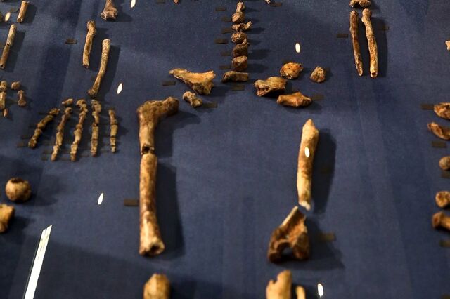 Sabe o que é o Homo naledi? Veja a descoberta