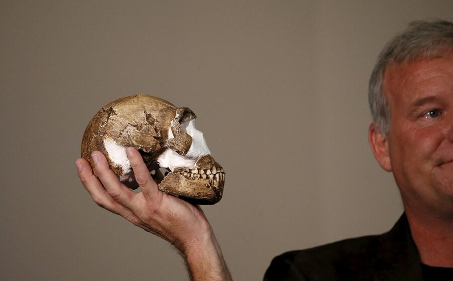 Homo naledi