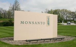 Monsanto rejeita oferta de compra da Bayer 