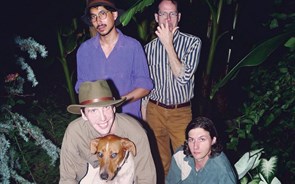 Deerhunter: As virtudes da vida doméstica