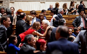 Alexandre Quintanilha vai presidir à comissão parlamentar de Educação e Ciência