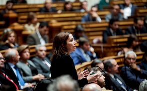 Heloísa Apolonia verdes