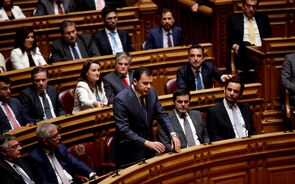 luis montenegro psd