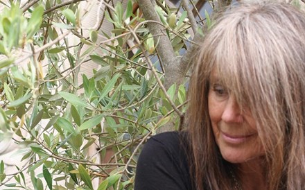 Vashti Bunyan: Círculo fechado