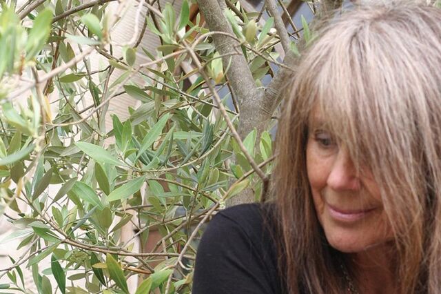 Vashti Bunyan: Círculo fechado