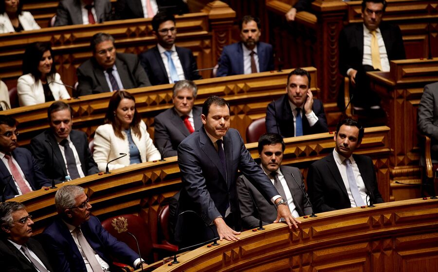 luis montenegro psd