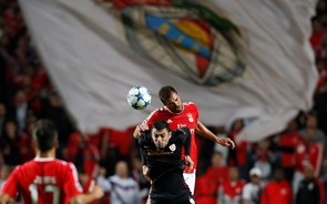 Lucros do Benfica caem 61,6% no primeiro semestre