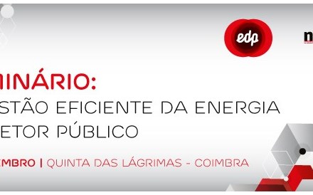 A Gestão Eficiente de energia no Setor Público