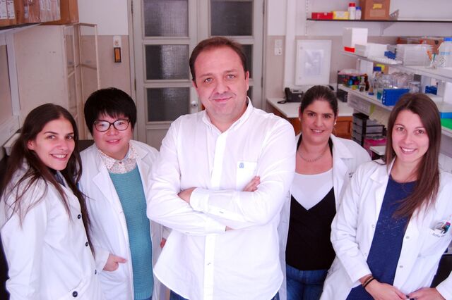 Cientistas portugueses recebem 100 mil dólares para investigação sobre Alzheimer