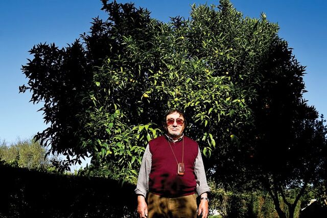 Camilo Mortágua: 'Romântico talvez seja, herói é que não'