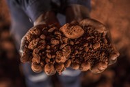 Trabalhador segura pedras do mineral bauxita, antes de ser refinada e se tornar alumínio, numa fábrica operada pela empresa Compagnie des Bauxites de Guinee, em Kamsar, Guiné.