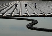 Funcionários caminham entre os painéis solares na central de energia solar operada pela Kyocera TCL Solar LLC, na Sakasamaike Pond, em Kasai, no Japão. Esta é a maior central de energia solar flutuante do mundo.