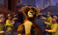 madagascar