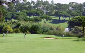 Golfe: Melo Gouveia com a melhor classificação de sempre no 'ranking' mundial 