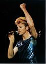 David Bowie