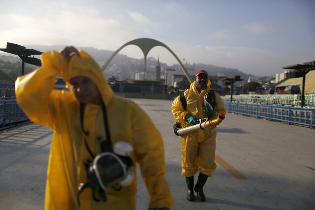 OMS declara vírus zika uma emergência mundial