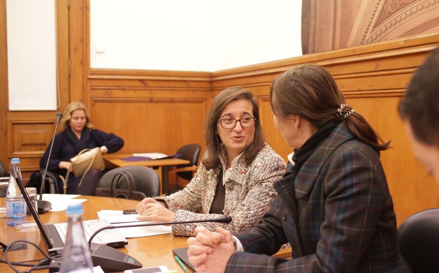 Helena Borges Fisco