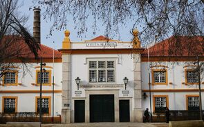 vista alegre 