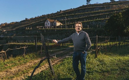 Alexandre e Dialina investem sete milhões na produção de vinho em Baião