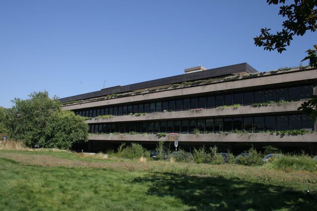 Descendente de Gulbenkian defende venda da Partex