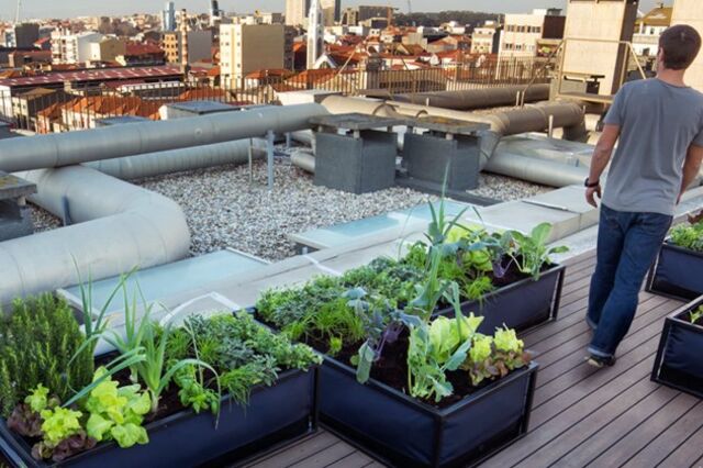Cama de cultivo ganha acesso a 50 mil euros