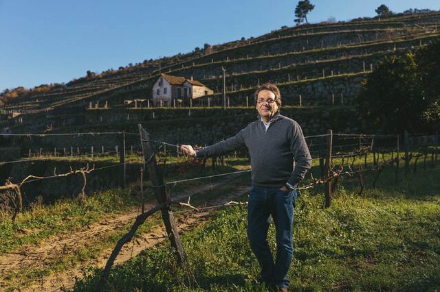 Alexandre e Dialina investem sete milhões na produção de vinho em Baião