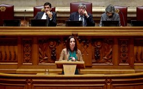 heloisa apolonia verdes